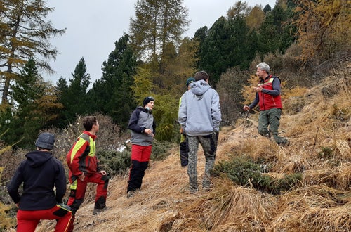Weidepflege Projekt mit Forstamt Weidepflege Projekt mit Forstamt