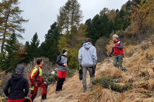 Weidepflege Projekt mit Forstamt Weidepflege Projekt mit Forstamt