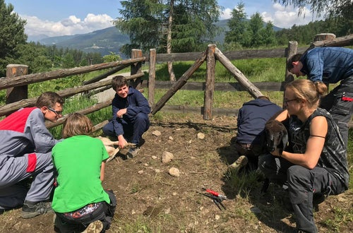 Hufpflege Schaf Hufpflege Schaf