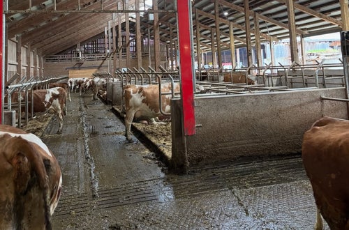 Abschlusslehrfahrt 4A LW FSDietenheim_2026 Abschlusslehrfahrt 4A LW FSDietenheim_2026