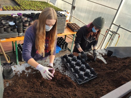 Schülerinnen ziehen vor Schülerinnen ziehen vor