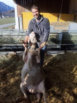 Junglandwirte Ausbildung Teilnehmer mit Schaf Junglandwirte Ausbildung Teilnehmer mit Schaf