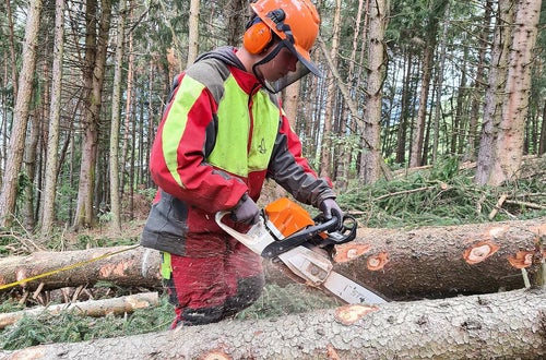 Waldarbeiterwoche Waldarbeiterwoche