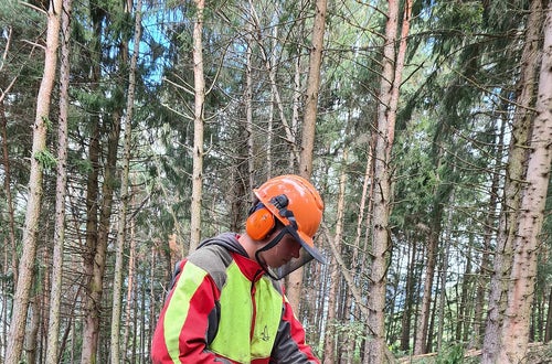 Waldarbeiterwoche Waldarbeiterwoche