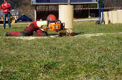 © FAST Ossiach des BFW © FAST Ossiach des BFW