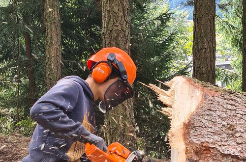 Waldarbeiterwoche Waldarbeiterwoche