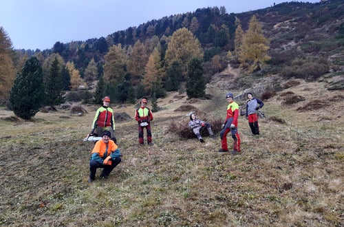 Weidepflege Projekt mit Forstamt Weidepflege Projekt mit Forstamt