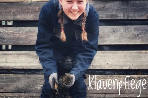 Klauenpflege Klauenpflege