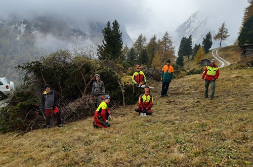 Weidepflege Projekt mit Forstamt Weidepflege Projekt mit Forstamt