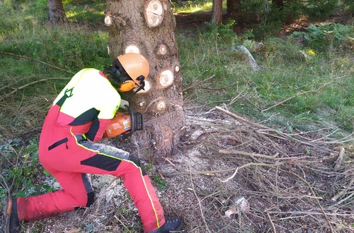 Weidepflege 2021 FSDietenheim Weidepflege 2021 FSDietenheim