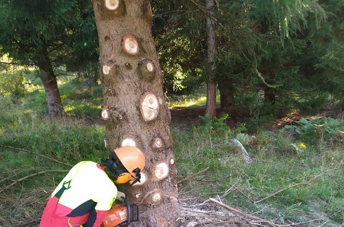 Weidepflege 2021 FSDietenheim Weidepflege 2021 FSDietenheim