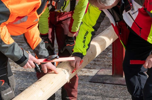 © Thomasch Michael © Thomasch Michael