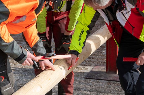 © Thomasch Michael © Thomasch Michael