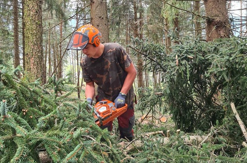 Waldarbeiterwoche Waldarbeiterwoche