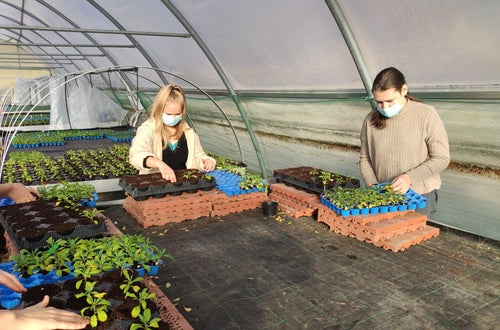 Schülerinnen pflanzen Schülerinnen pflanzen