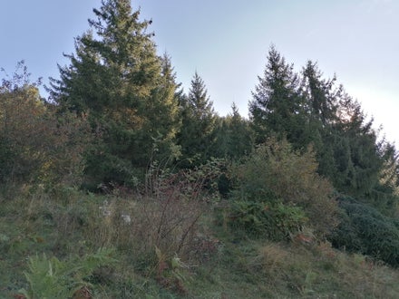 Weidepflege 2021 FSDietenheim Weidepflege 2021 FSDietenheim