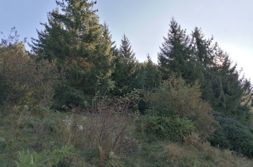 Weidepflege 2021 FSDietenheim Weidepflege 2021 FSDietenheim