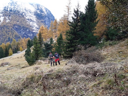 Weidepflege Projekt mit Forstamt Weidepflege Projekt mit Forstamt