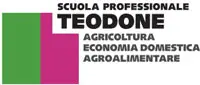 Scuola professionale per l'agricoltura ed economia domestica Teodone