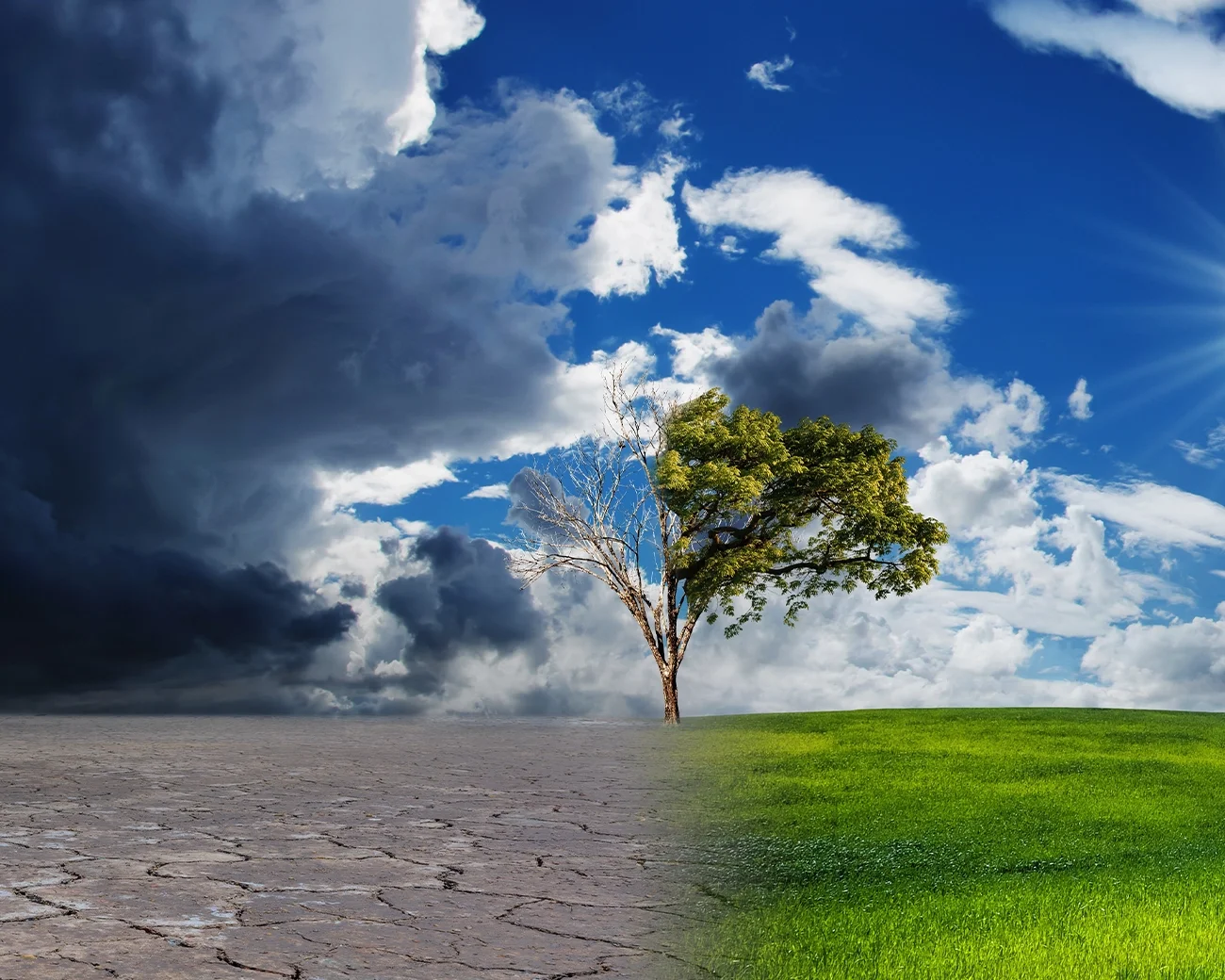 Overgang van droogte naar groene natuur