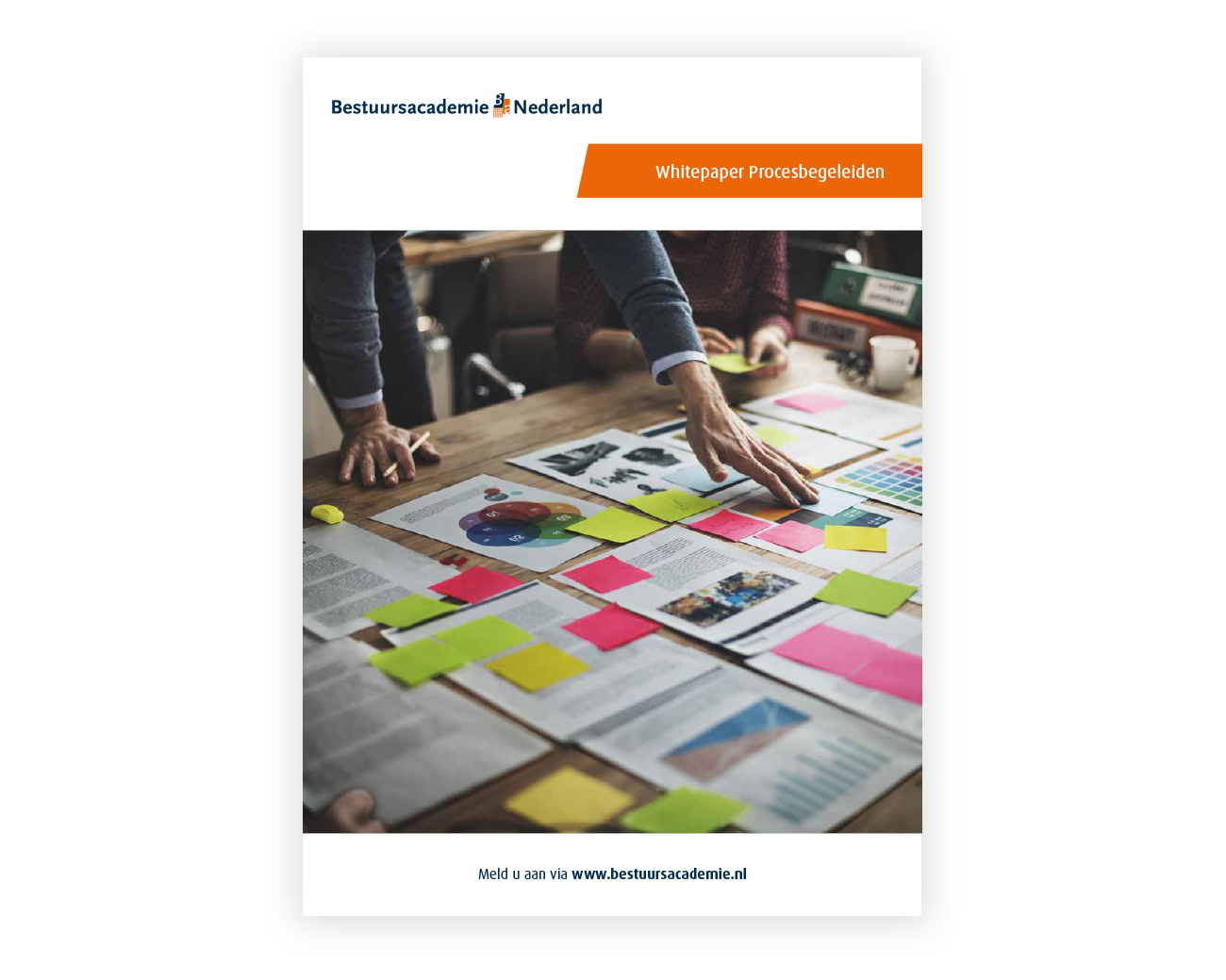 Whitepaper Procesbegeleiding