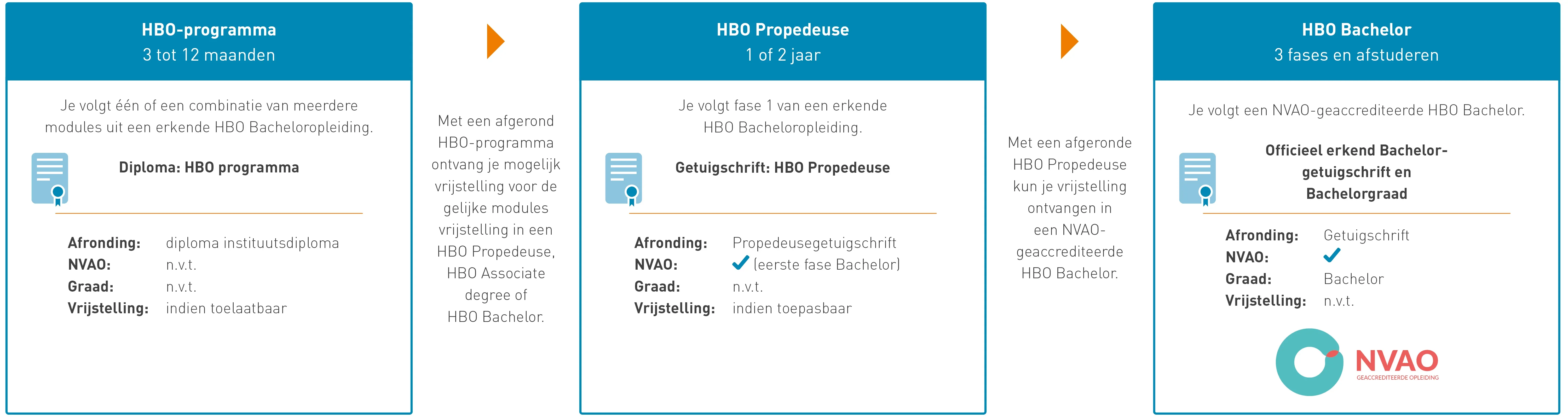 Schematische opbouw HBO-opleidingen Pro Education