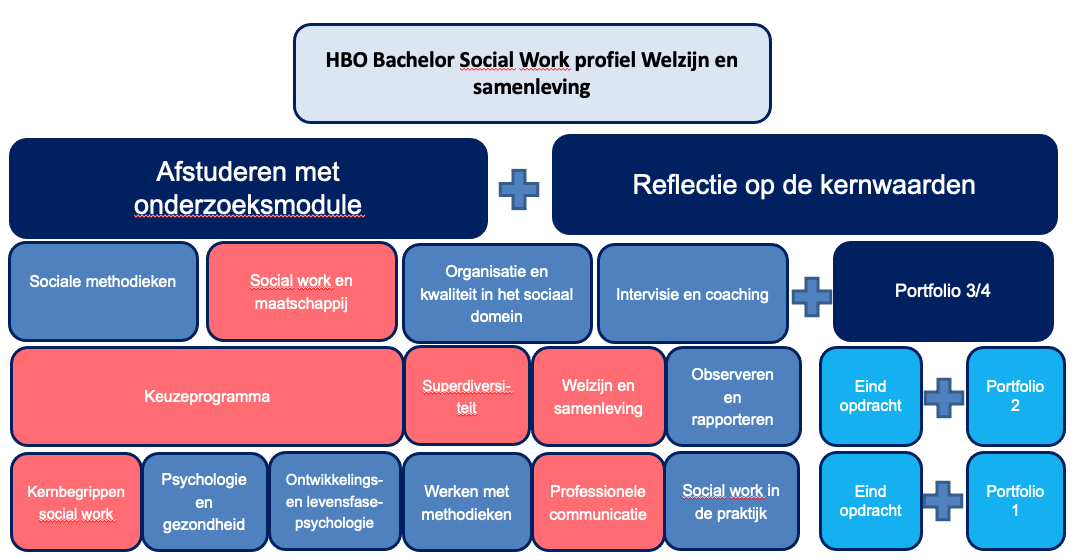 Schematische weergave HBO Bachelor Social work profiel welzijn en samenleving