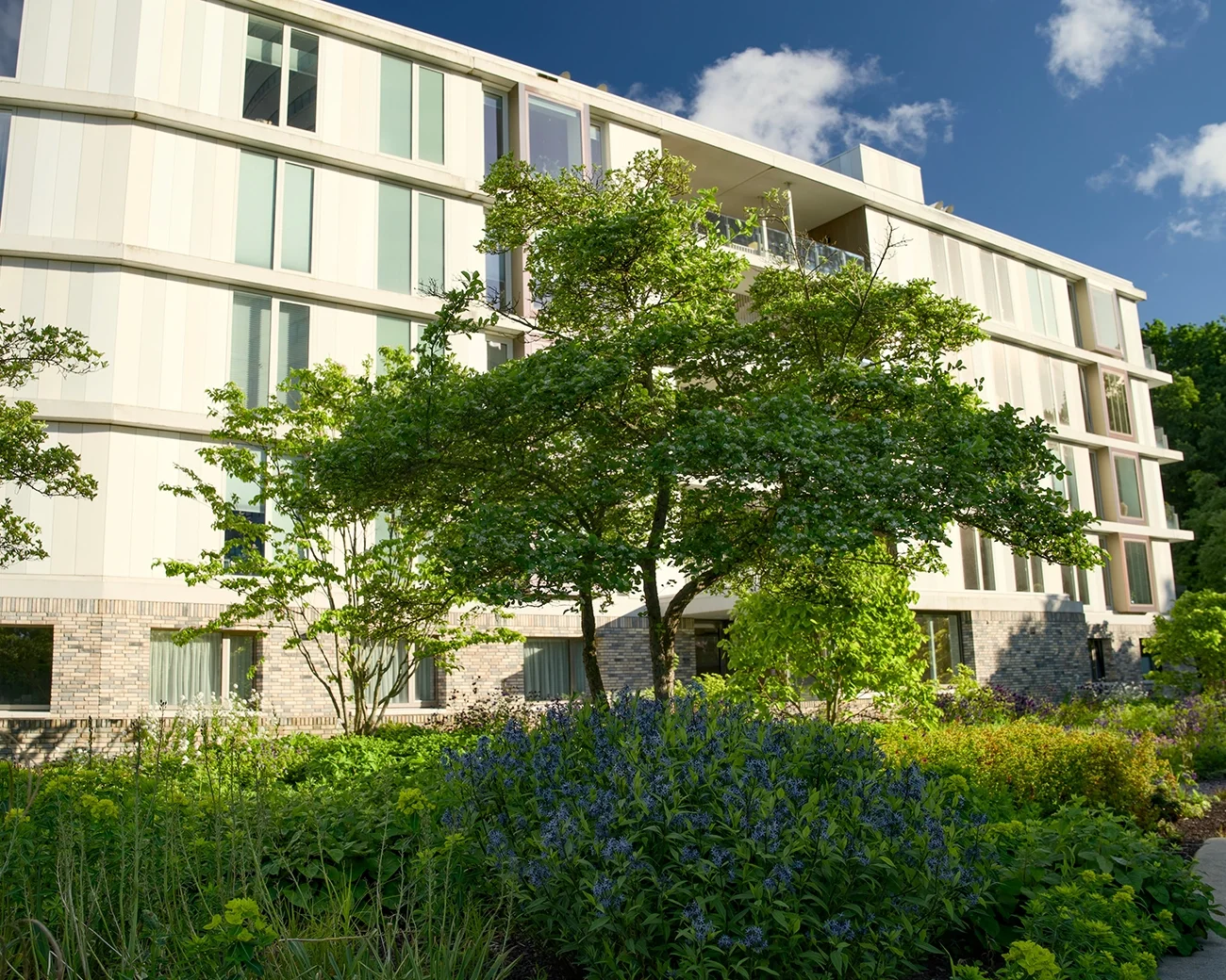 Groene woonomgeving met appartementen en klimaatadaptieve inrichting