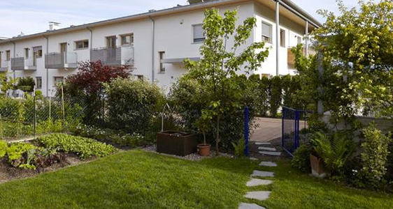 Das B.V.F.-Verfahren