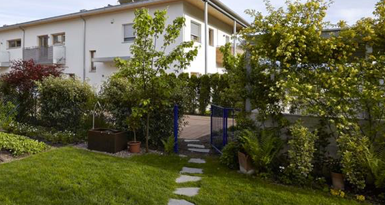 Das B.V.F.-Verfahren