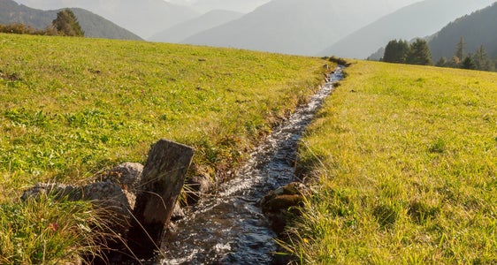 Traditionelle Bewässerung