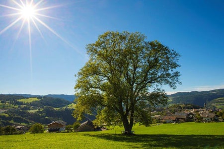 Pianificazione del paesaggio