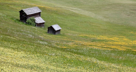 Premi incentivanti per la tutela del paesaggio