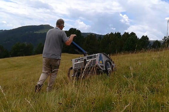 La raccolta viene effettuata con un dispositivo speciale che strappa il semente maturo dalle infiorescenze (Archivio Uffico Natura, Foto Mauro Tomasi).