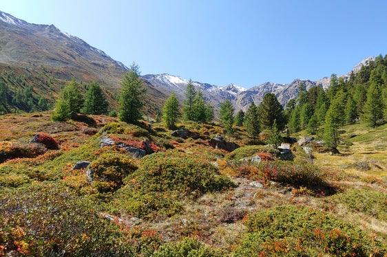 LSG Lagaun