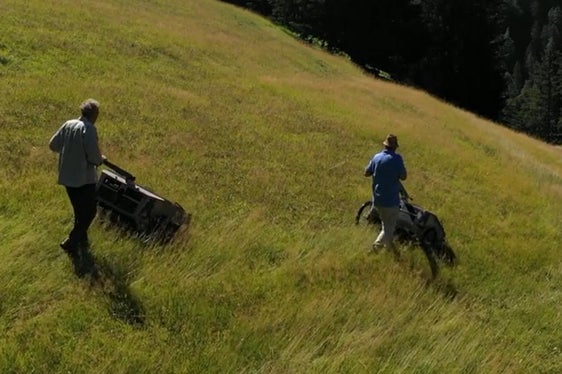 La raccolta avviene non appena il semente è maturo (Archivio Ufficio Natura, Foto Mauro Tomasi).