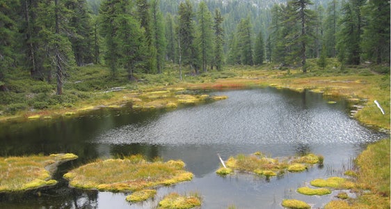 Habitat dei corpi d’acqua e delle sorgenti