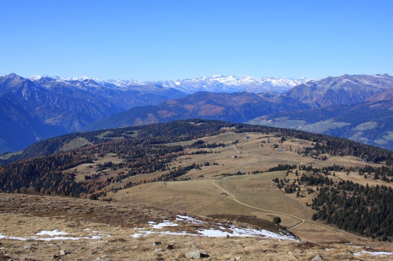 LSG Rodenecker Alm