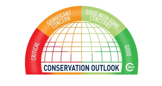 Berichte und Monitoring auf internationaler Ebene