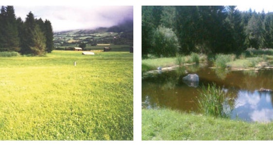 Edilizia e paesaggio