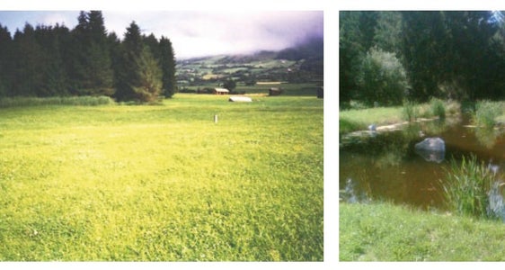 Bauen und Landschaftliche Eingriffe