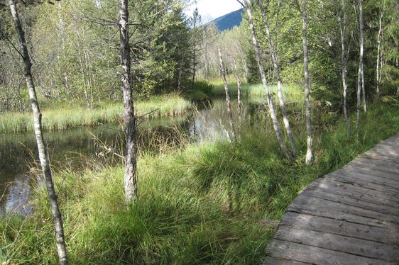 Naturerlebnisweg Rasner Möser (Archiv Amt für Natur, Foto Konrad Stockner, 2009)