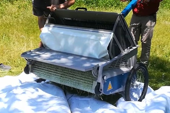 Per facilitare la raccolta del semente si utilizza un apparecchio particolare (Archivio Ufficio Natiura, Foto Mauro Tomasi).