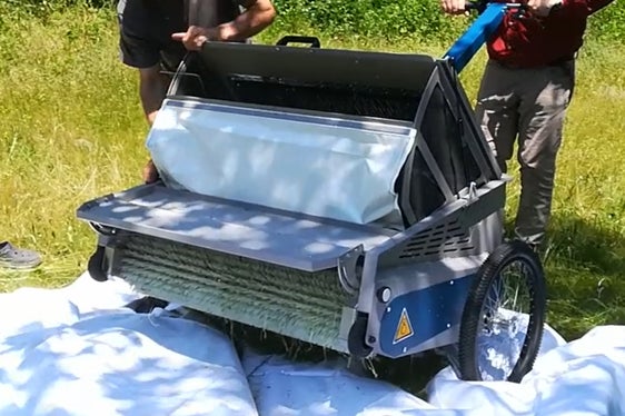 Ein spezielles Gerät erleichtert die Ernte des Saatguts (Archiv Amt für Natur, Foto Mauro Tomasi).