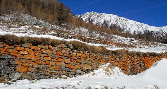 Arte della costruzione in pietra a secco