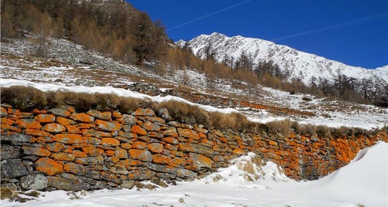 Technik des Trockensteinmauerns