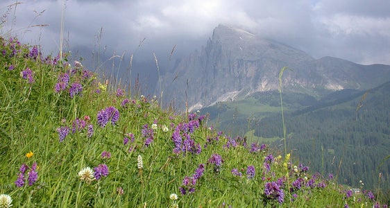 Contributi, agevolazioni e incentivi
