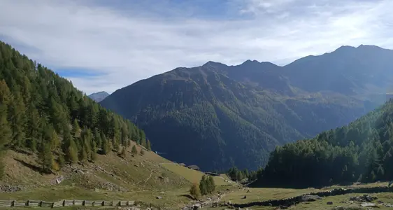 ELER (Europäischer Landwirtschaftsfonds für die Entwicklung des ländlichen Raums)