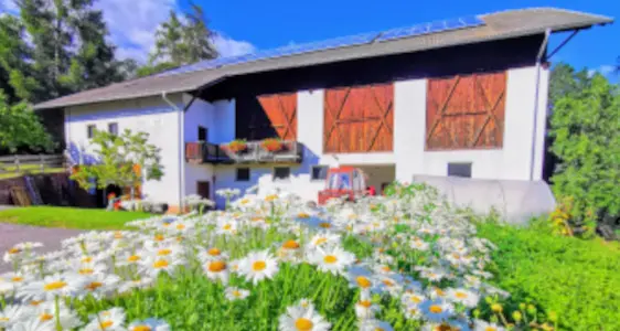 Strukturinterventionen