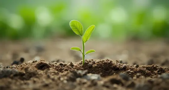 EGFL (Europäischer Garantiefonds für die Landwirtschaft)